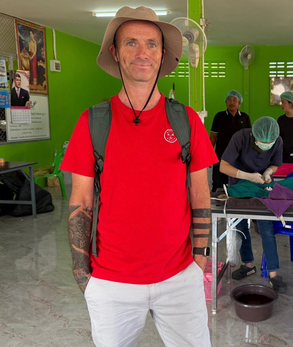 Niall Harbison tweet media