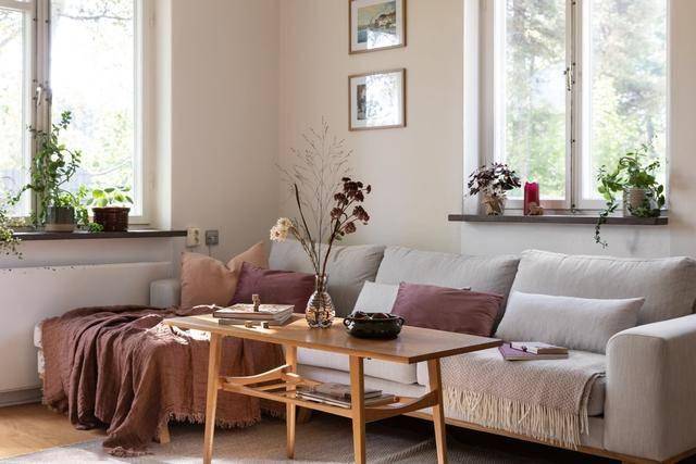 hector adolfo tweet media