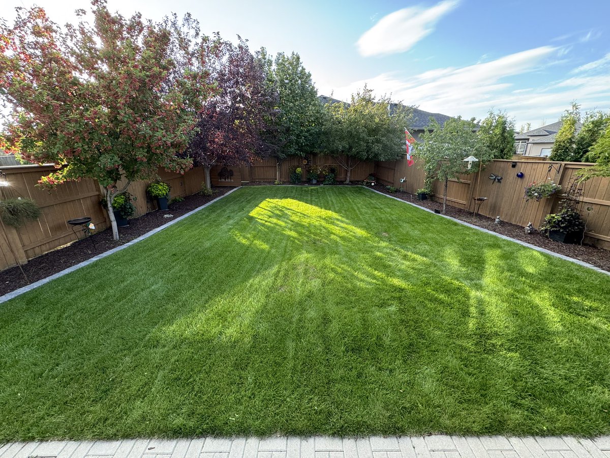 Erik Lindberg tweet media