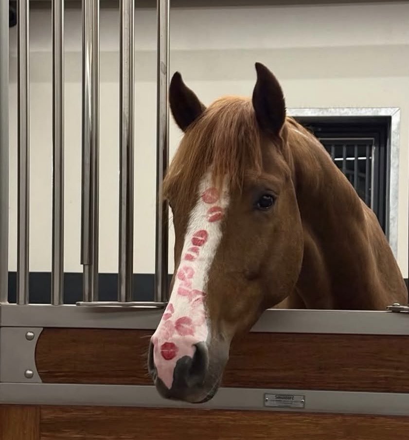 Frau von Flausch 6.0🫶🏻 tweet media