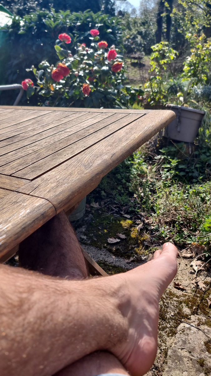 Fan de Marlène tweet media