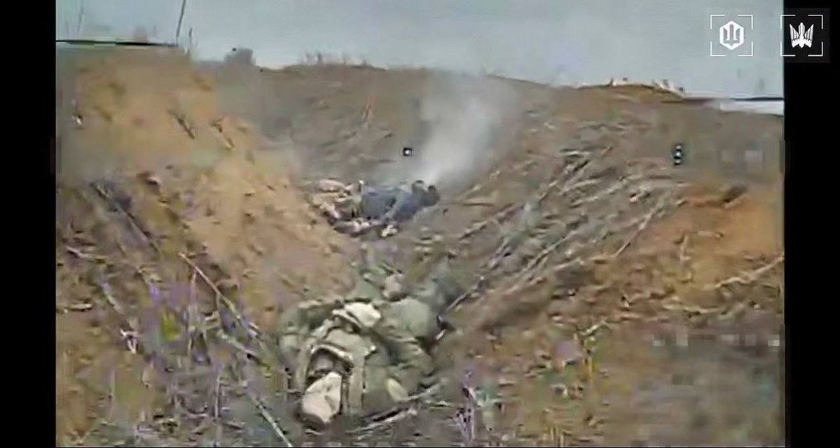 Your Kotek Gganbu tweet media