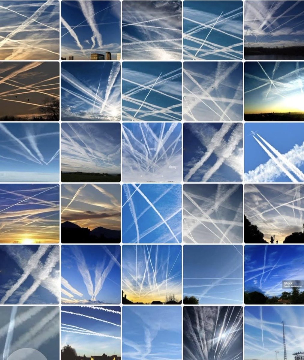 Librechoix tweet media