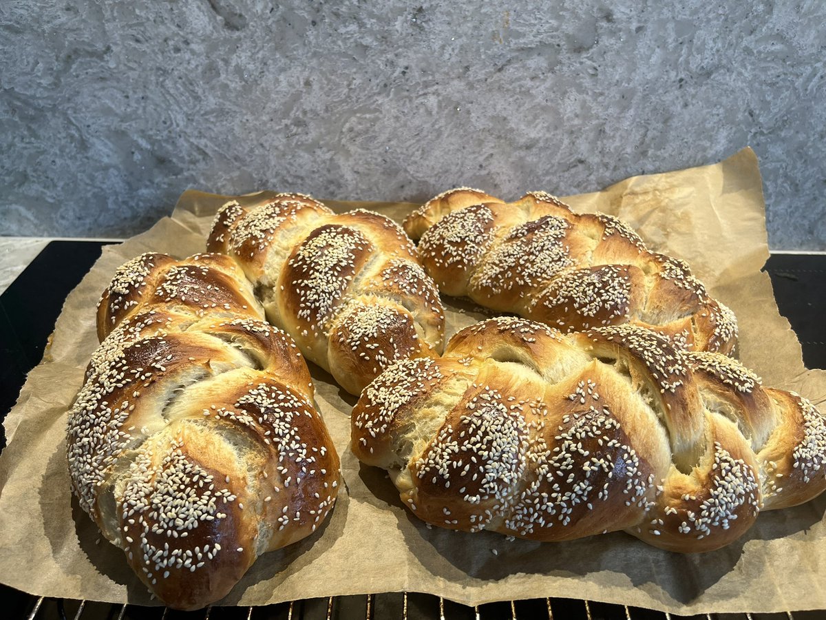 Shelley Blond tweet media