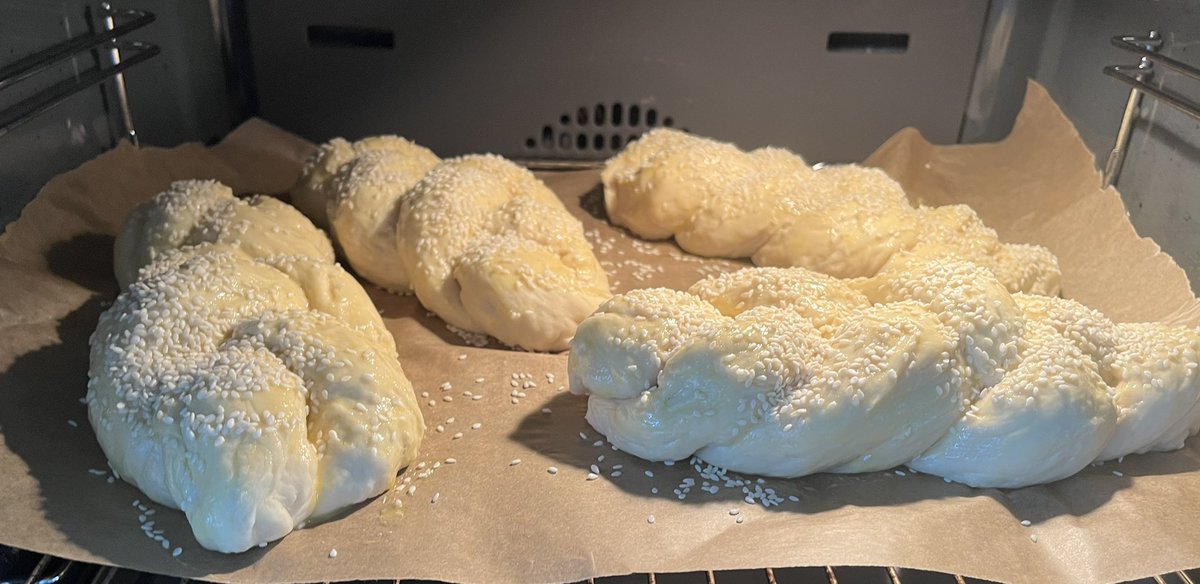 Shelley Blond tweet media