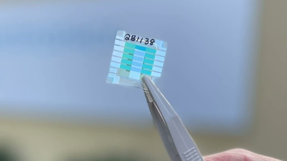 elhacker.NET tweet media