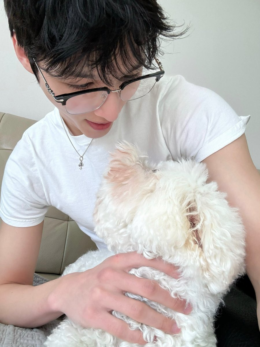 &alex SAW P1HARMONY tweet media