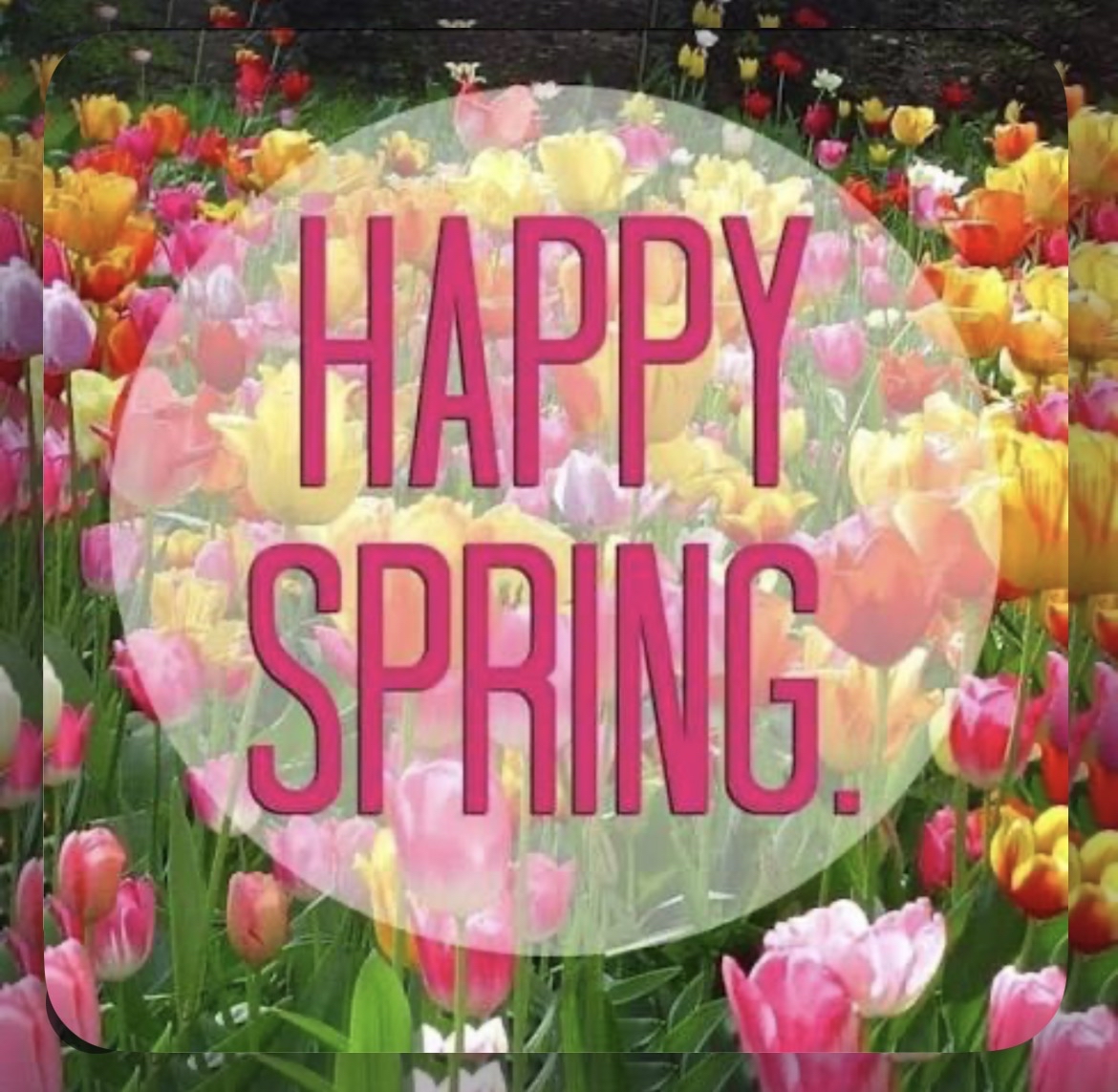 DeKalb Middle School tweet media