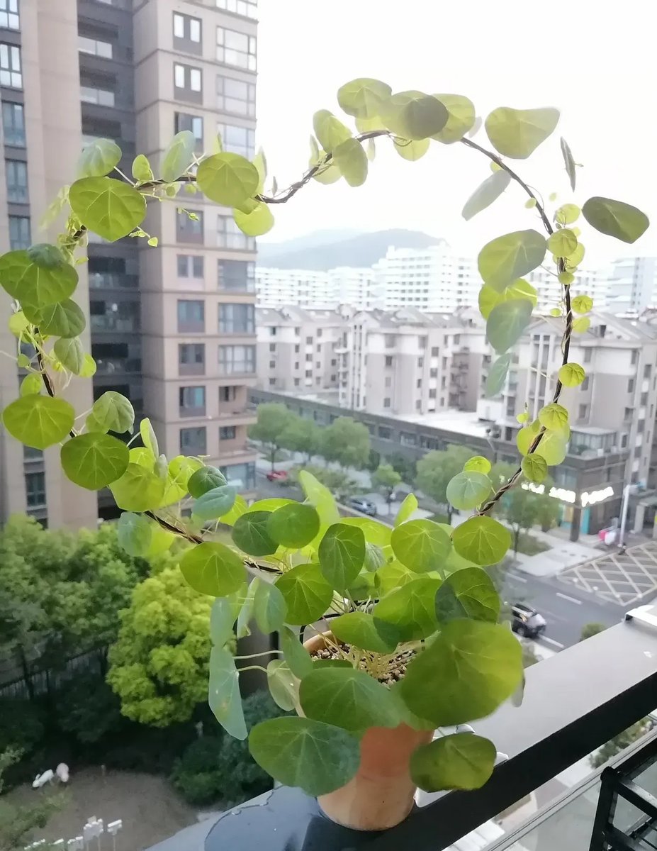 Jitendra Pisse tweet media