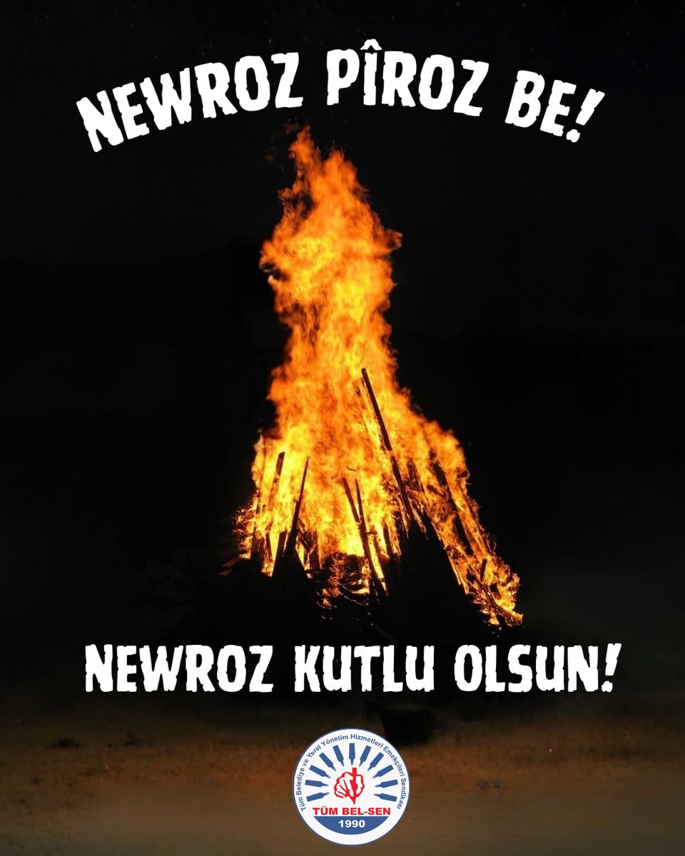 TÜM BEL-SEN tweet media