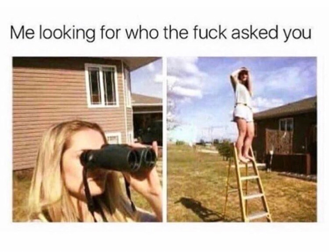 CoppiThat tweet media