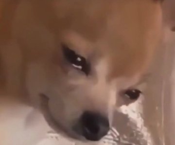 Promax𖤍 tweet media