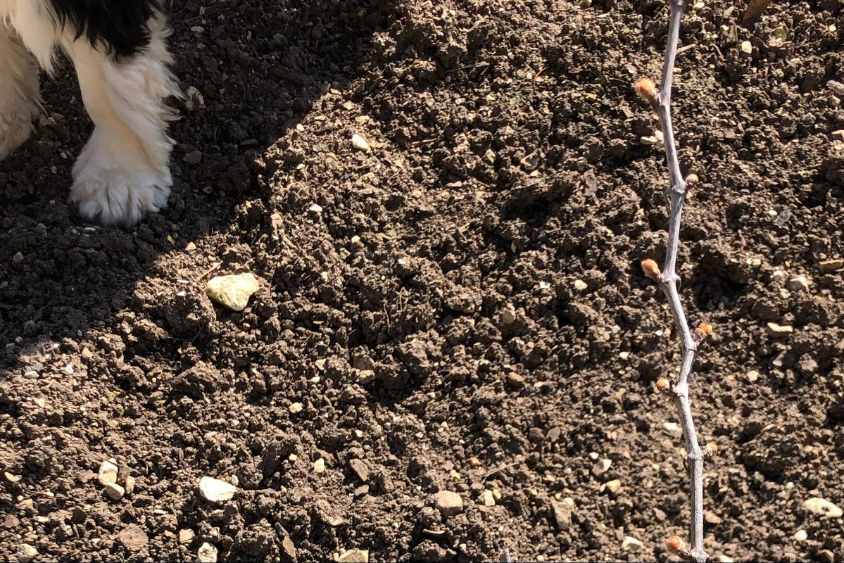 John Abbey tweet media