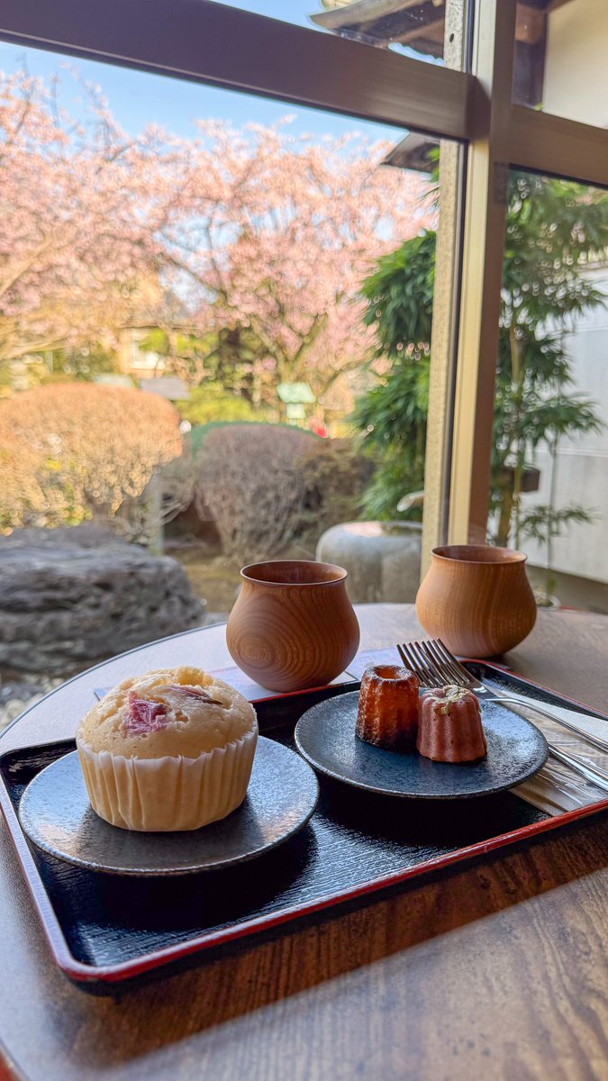 はとサブ子｜旅とグルメの記録(はとりっぷ) tweet media