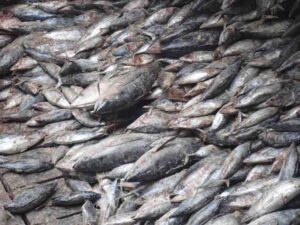 ATUNA News tweet media