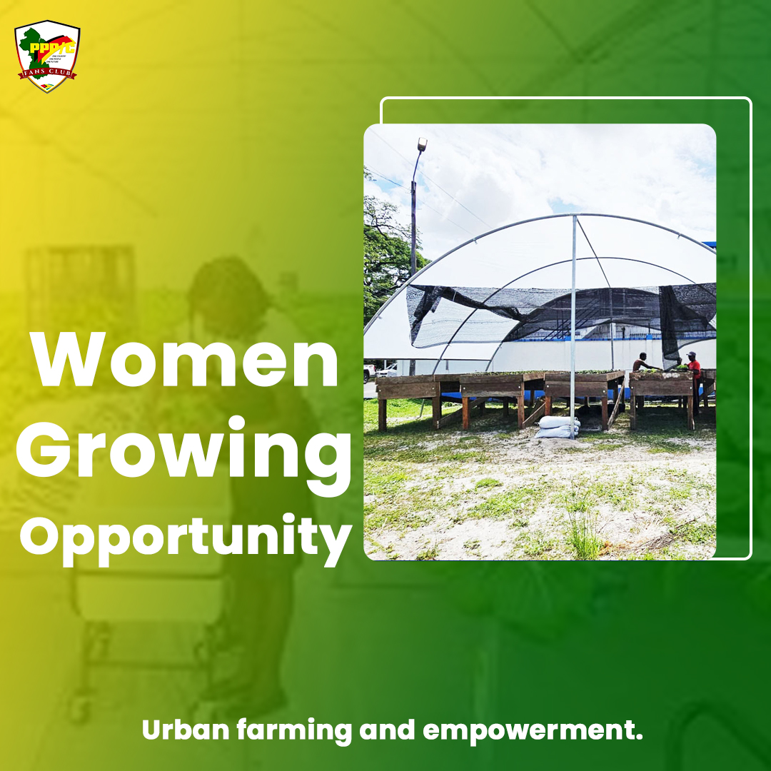 PPPCFansClub's tweet photo. Agriculture strengthens communities and builds resilience.

From Regions Eight and Nine to Tiger Bay, food production initiatives are supporting livelihoods, empowering women, and improving food security across Guyana.

#FoodSecurity #Guyana #AgricultureForAll #ResilientNation https://t.co/wBWX8tqQ7n