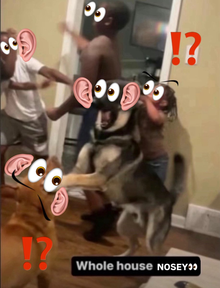 gracie ۶ৎ tweet media