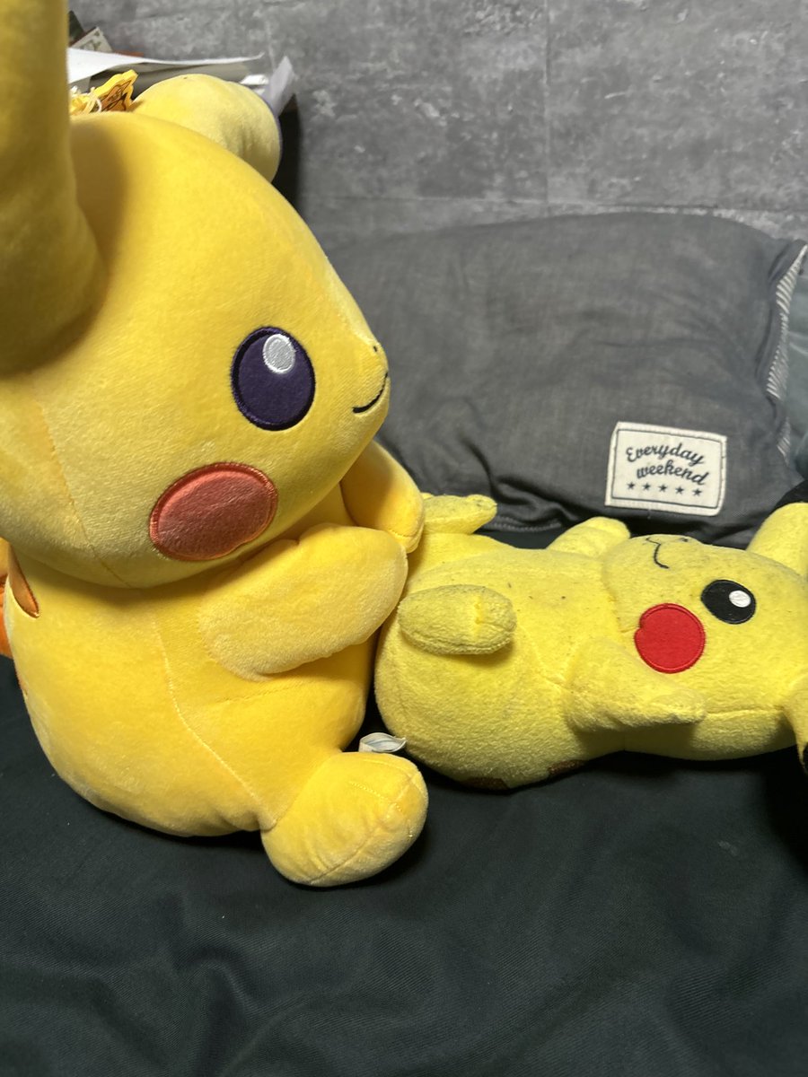 HACHI🐝࿆🥛🍓ྀི tweet media