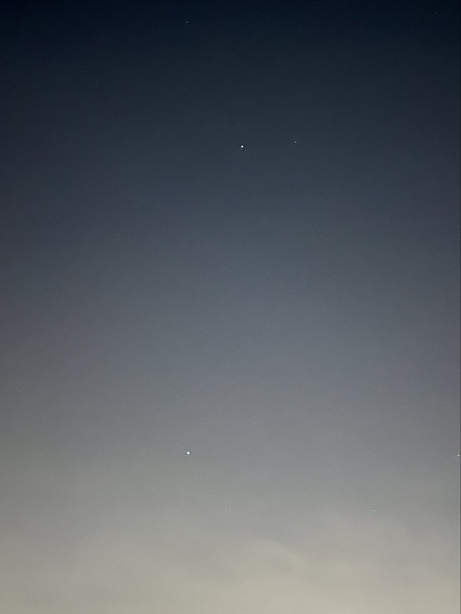 こだま和文 tweet media