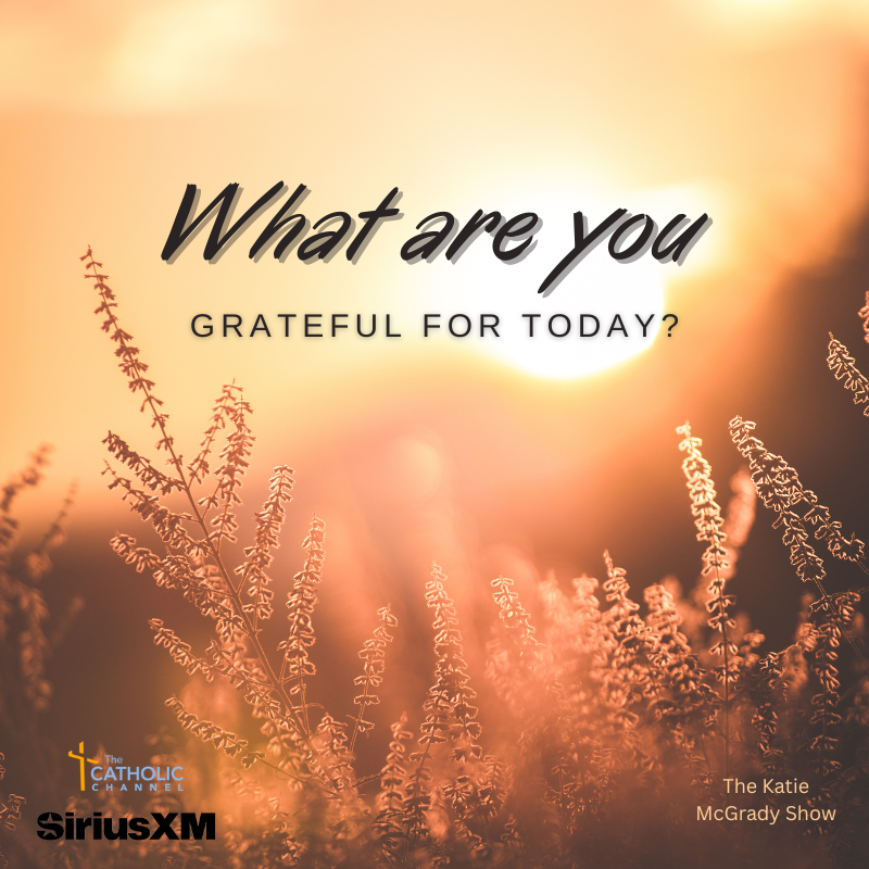 The Catholic Channel tweet media