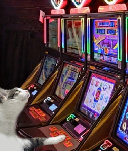 trackingvoid tweet media