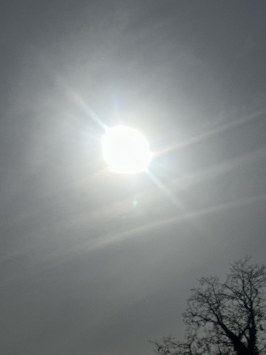 ŞĆŘΔŦĆĦ tweet media