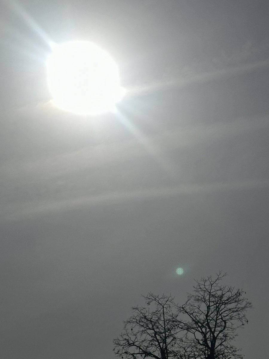 ŞĆŘΔŦĆĦ tweet media