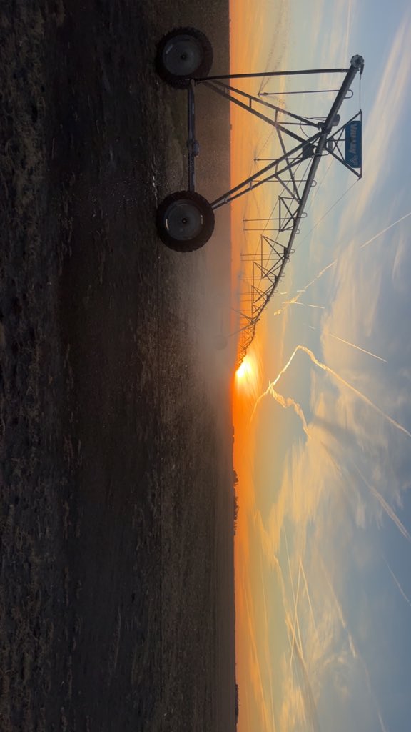 Brett Gerk tweet media