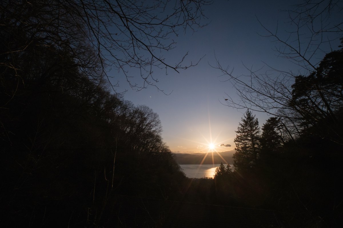 三好妙心 tweet media