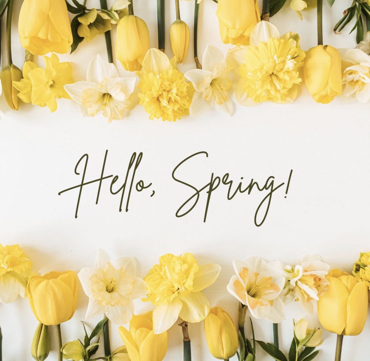 Linda McMahon tweet media