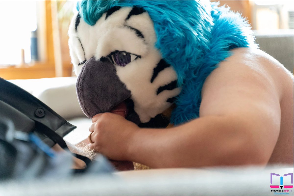 Certified Gryph Cumslut tweet media