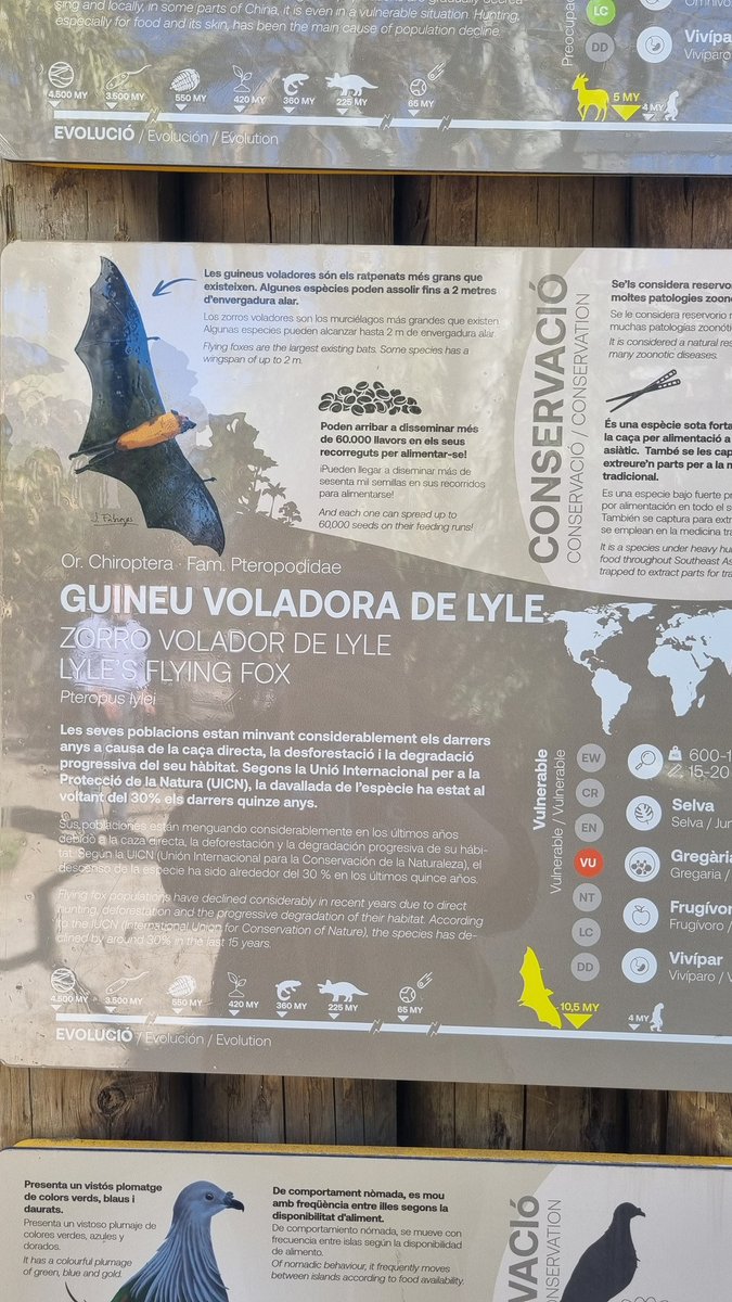 Bella Warley tweet media