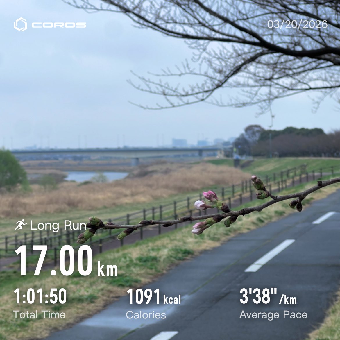 𝓌.𝒶𝑜𝓀𝒾 ♕ tweet media