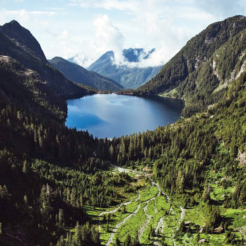 Canuckle 🇨🇦 tweet media