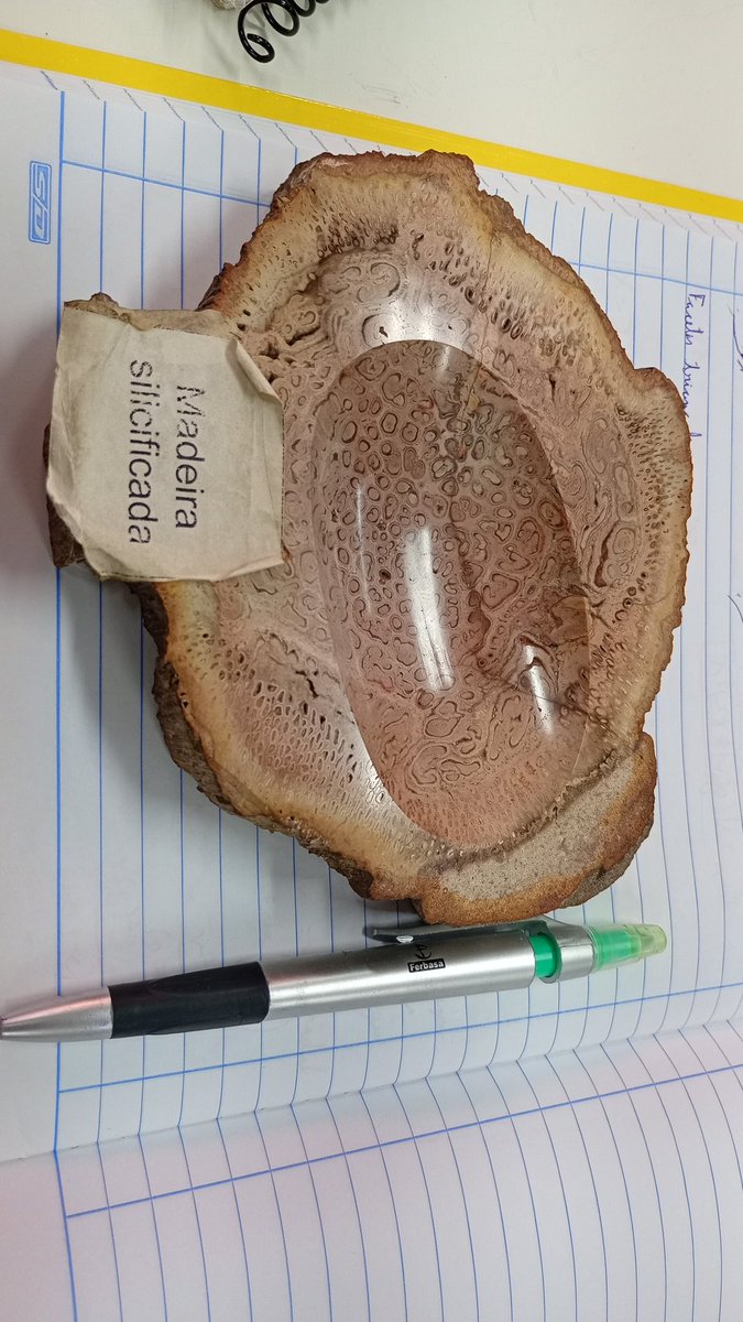 Vascaíno de SSA (8/45) tweet media