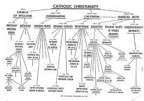 TrueRedMan tweet media