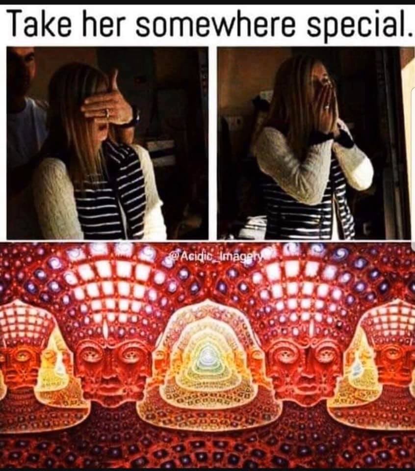 occultbot (@0ccultbot) on Twitter photo 