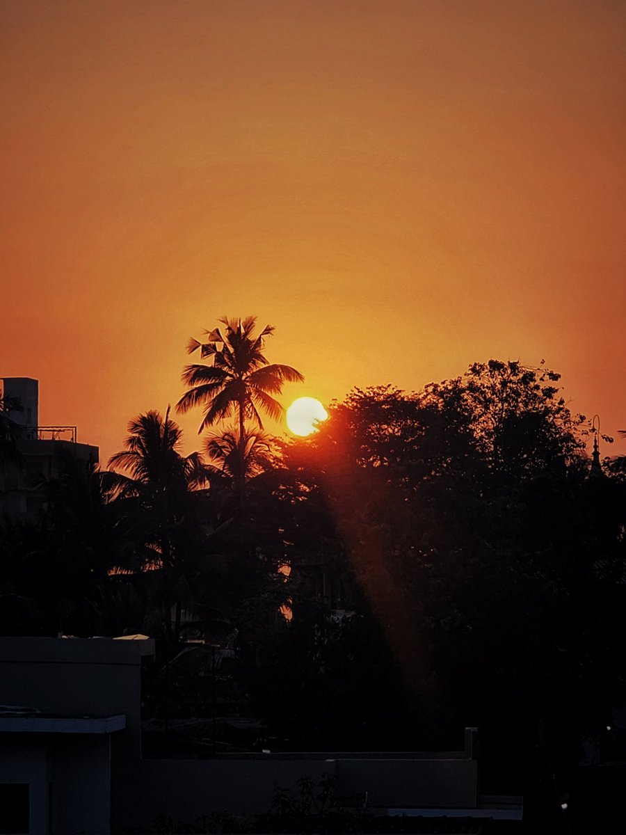 //Sub/Corpus tweet media