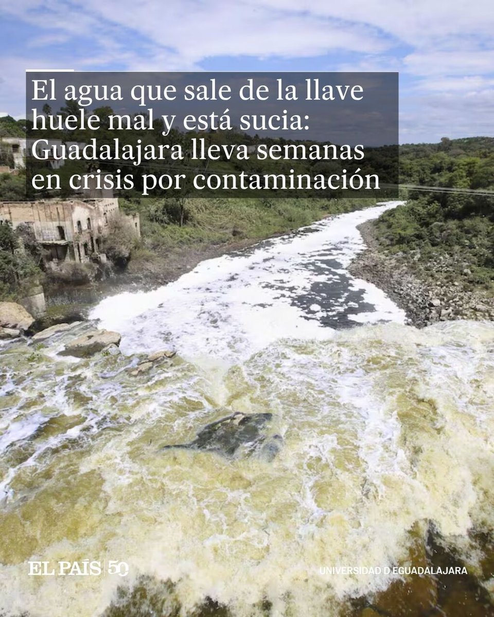 EL PAÍS América tweet media