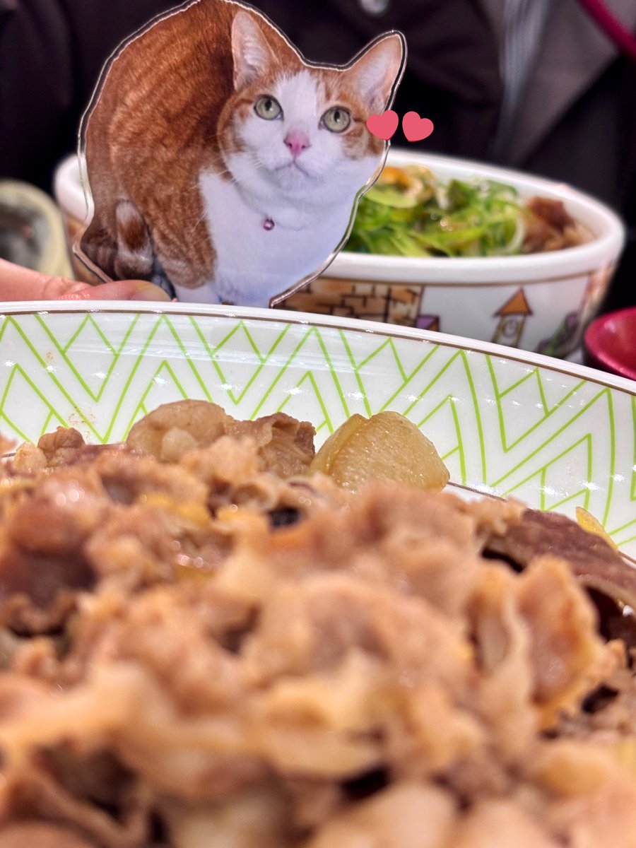 勘🍺🧌3/20 南４ま58a tweet media