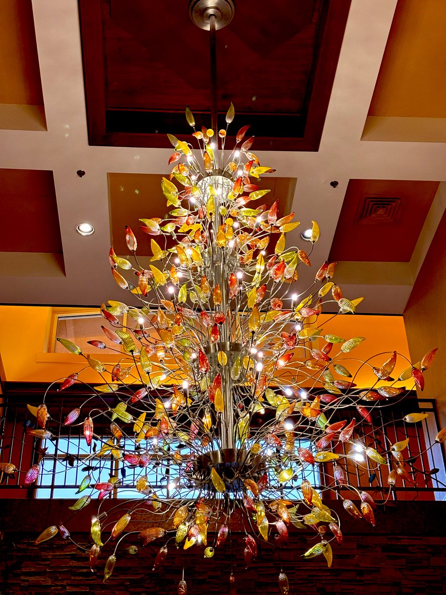 Michael D. Sgro, CPBC tweet media