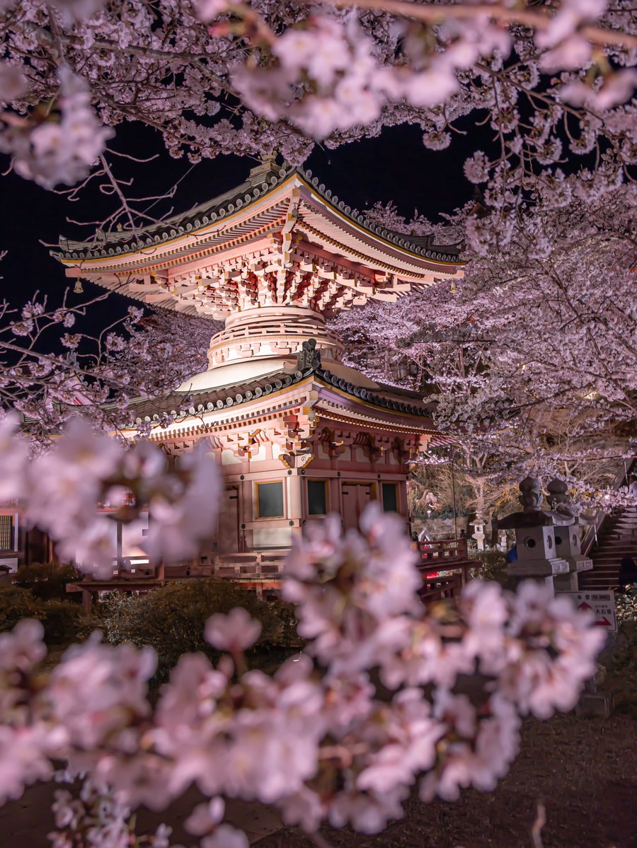 City Vibes tweet media