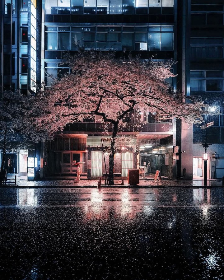 City Vibes tweet media