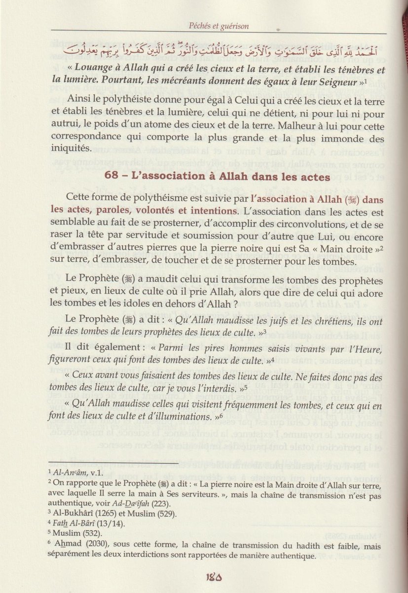 Pascal94 tweet media