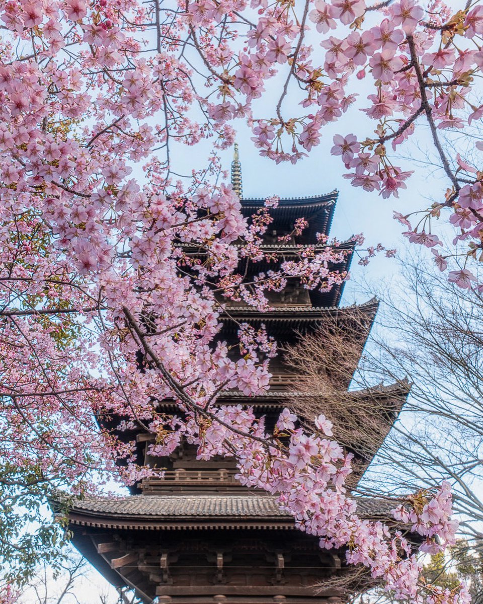 City Vibes tweet media