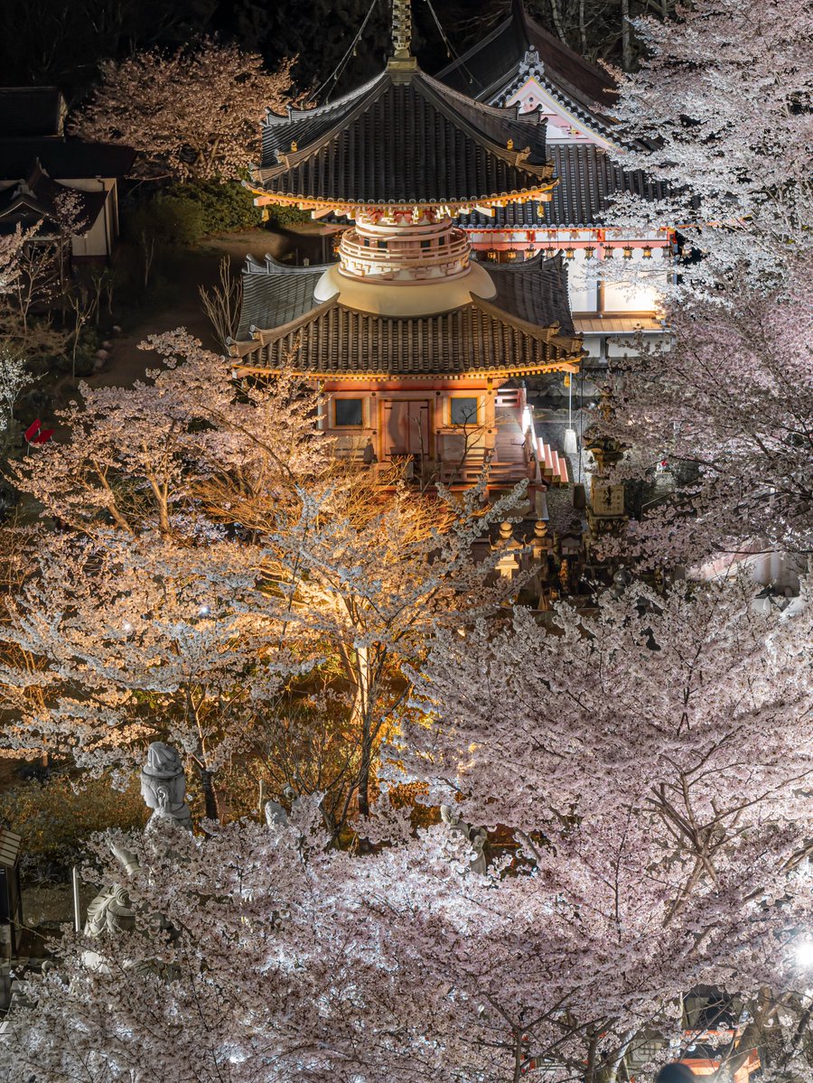 City Vibes tweet media