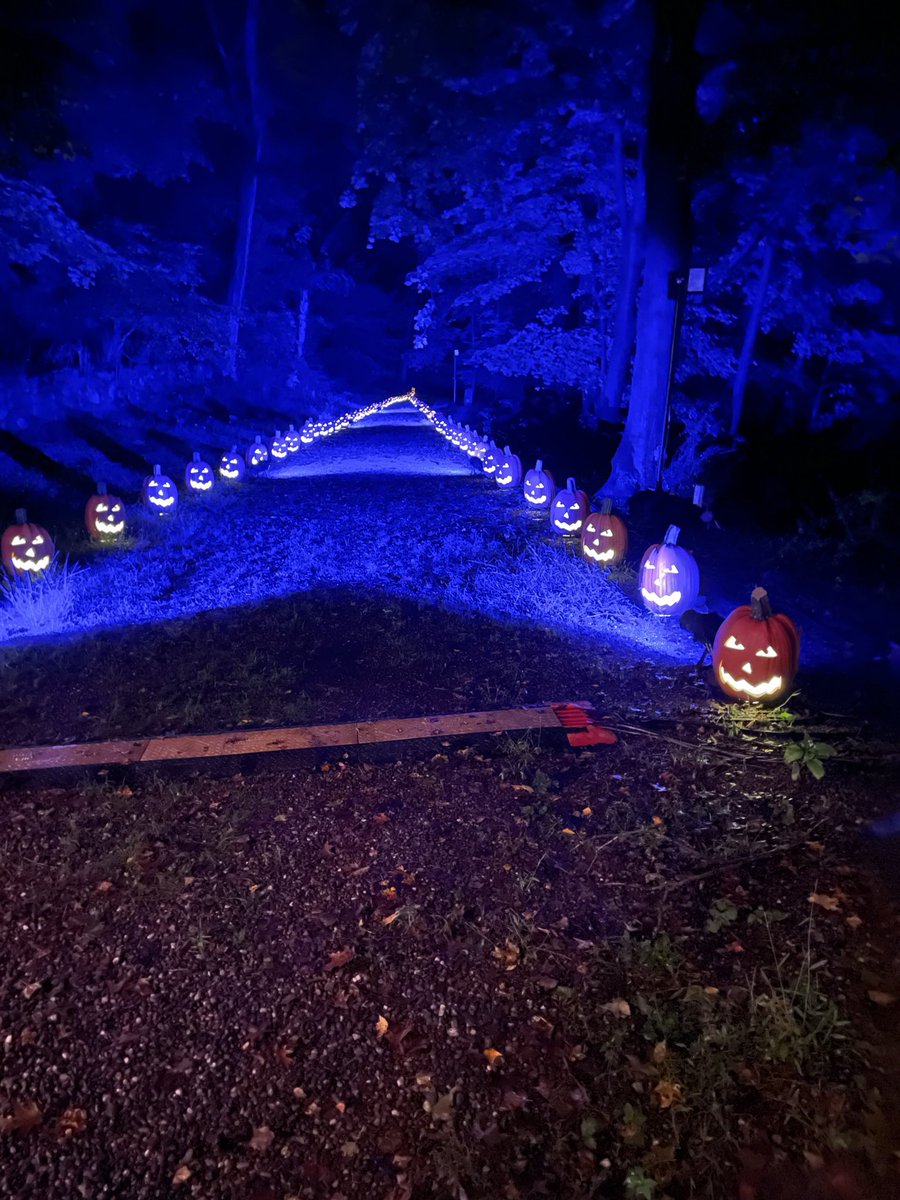 Amy Grech 🔪🩸A SHADOW OF YOUR FORMER SELF tweet media