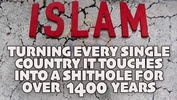 SaltyGoat tweet media