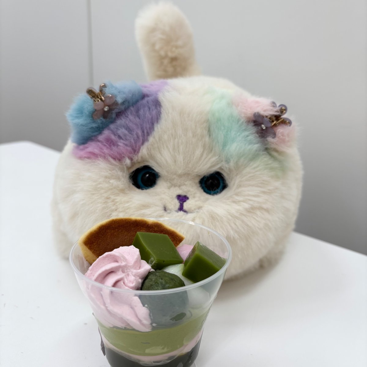 nyankimi_nya's tweet photo. きょうも　まったり🌸 https://t.co/OcqLJiiGG9