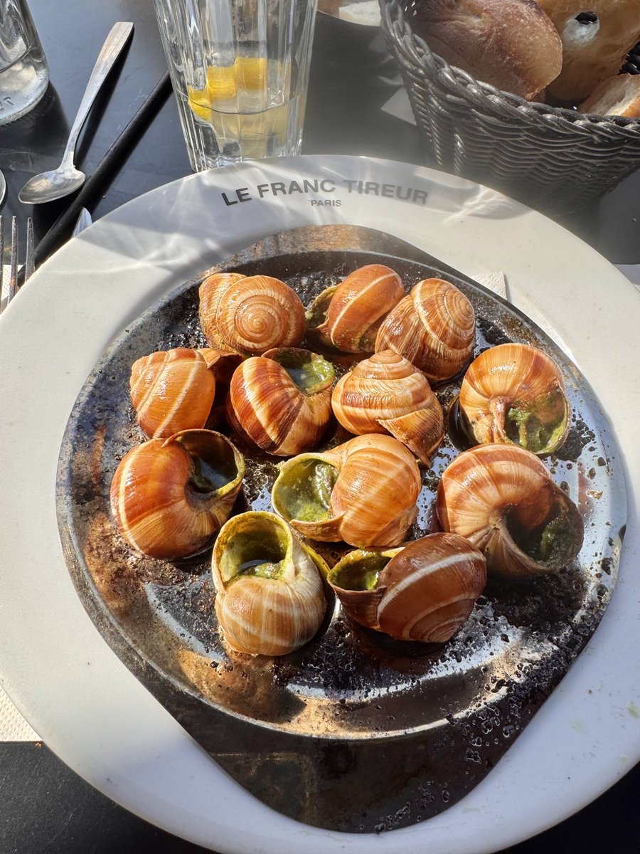 Jungle Rock tweet media